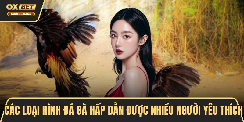 Các loại hình đá gà