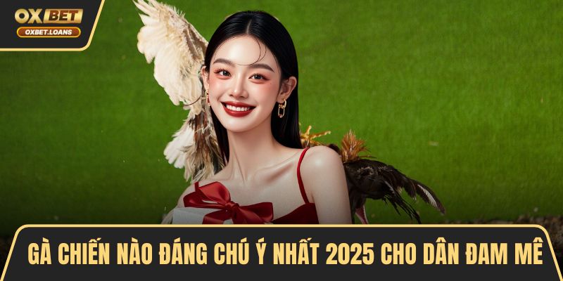 gà chiến nào đáng chú ý nhất 2025