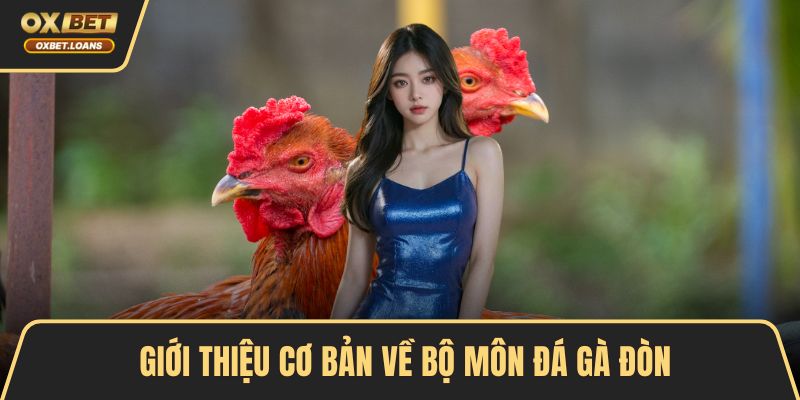 Giới thiệu cơ bản về bộ môn đá gà đòn