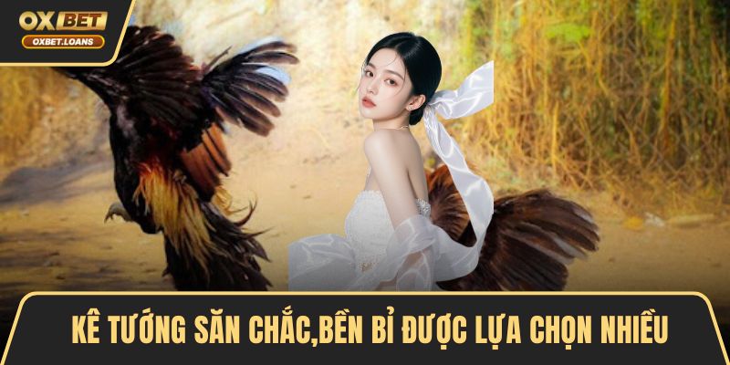 Kê tướng săn chắc,bền bỉ được lựa chọn nhiều