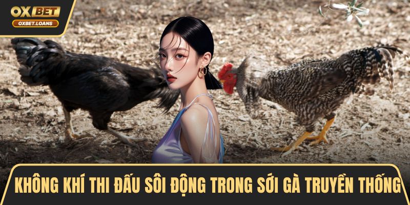 Không khí thi đấu sôi động trong sới gà truyền thống