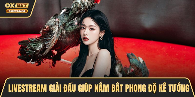 Livestream giải đấu giúp nắm bắt phong độ kê tướng