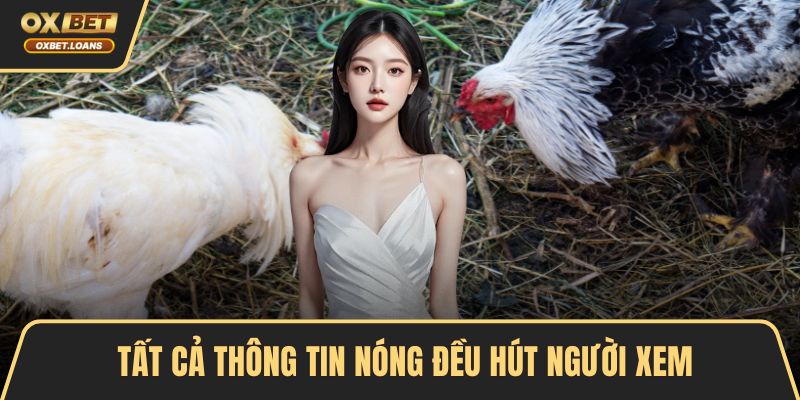 Tất cả thông tin nóng đều hút người xem
