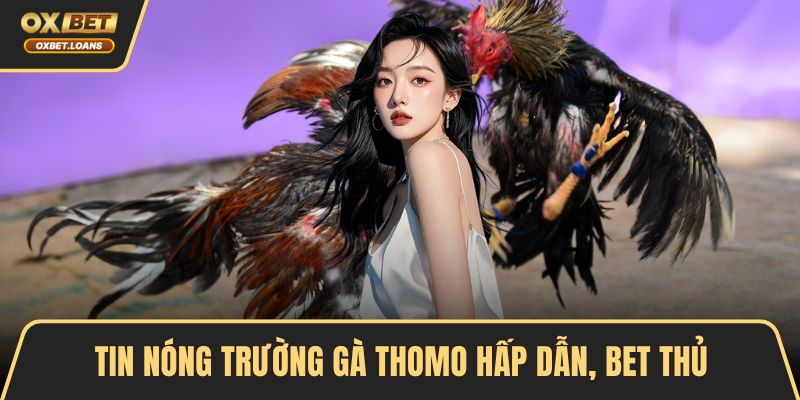 Tin nóng trường gà Thomo