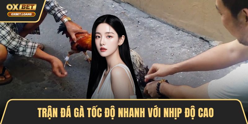 Trận đá gà tốc độ nhanh với nhịp độ cao